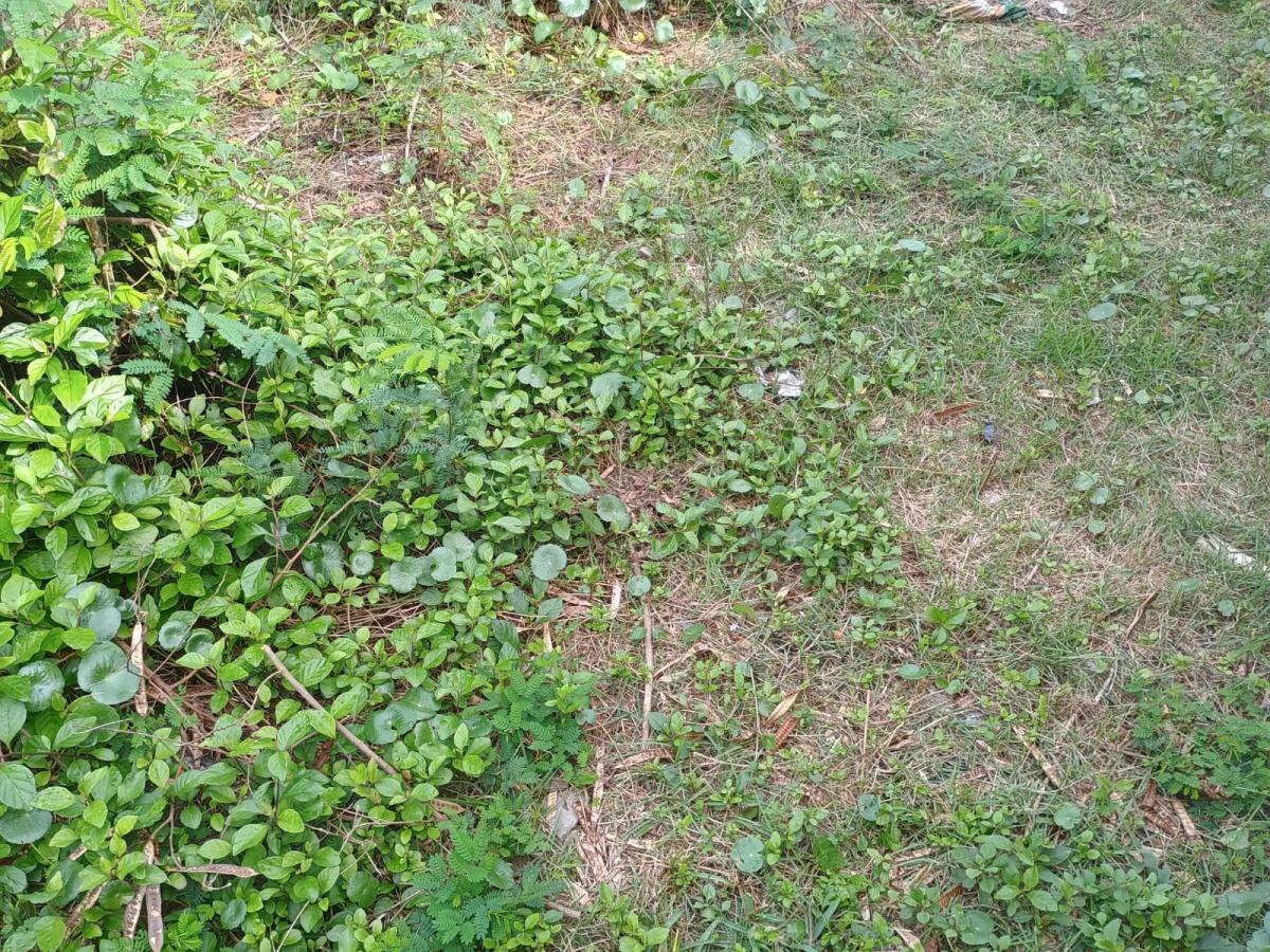Terreno à venda, 360m² - Foto 19