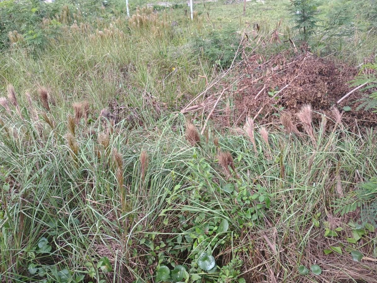 Terreno à venda, 360m² - Foto 23