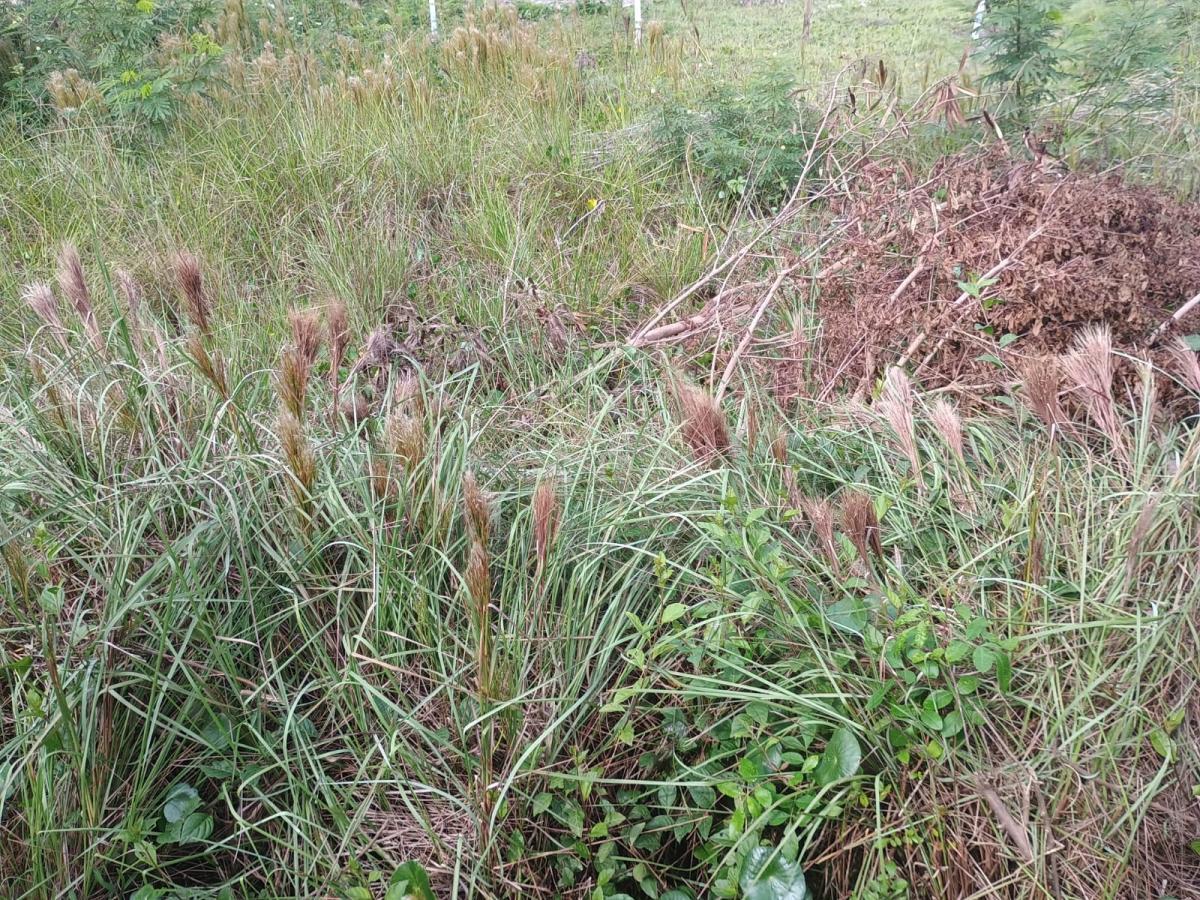 Terreno à venda, 360m² - Foto 29