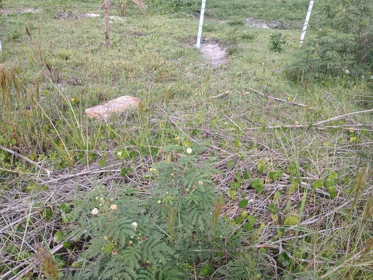Terreno à venda, 360m² - Foto 32