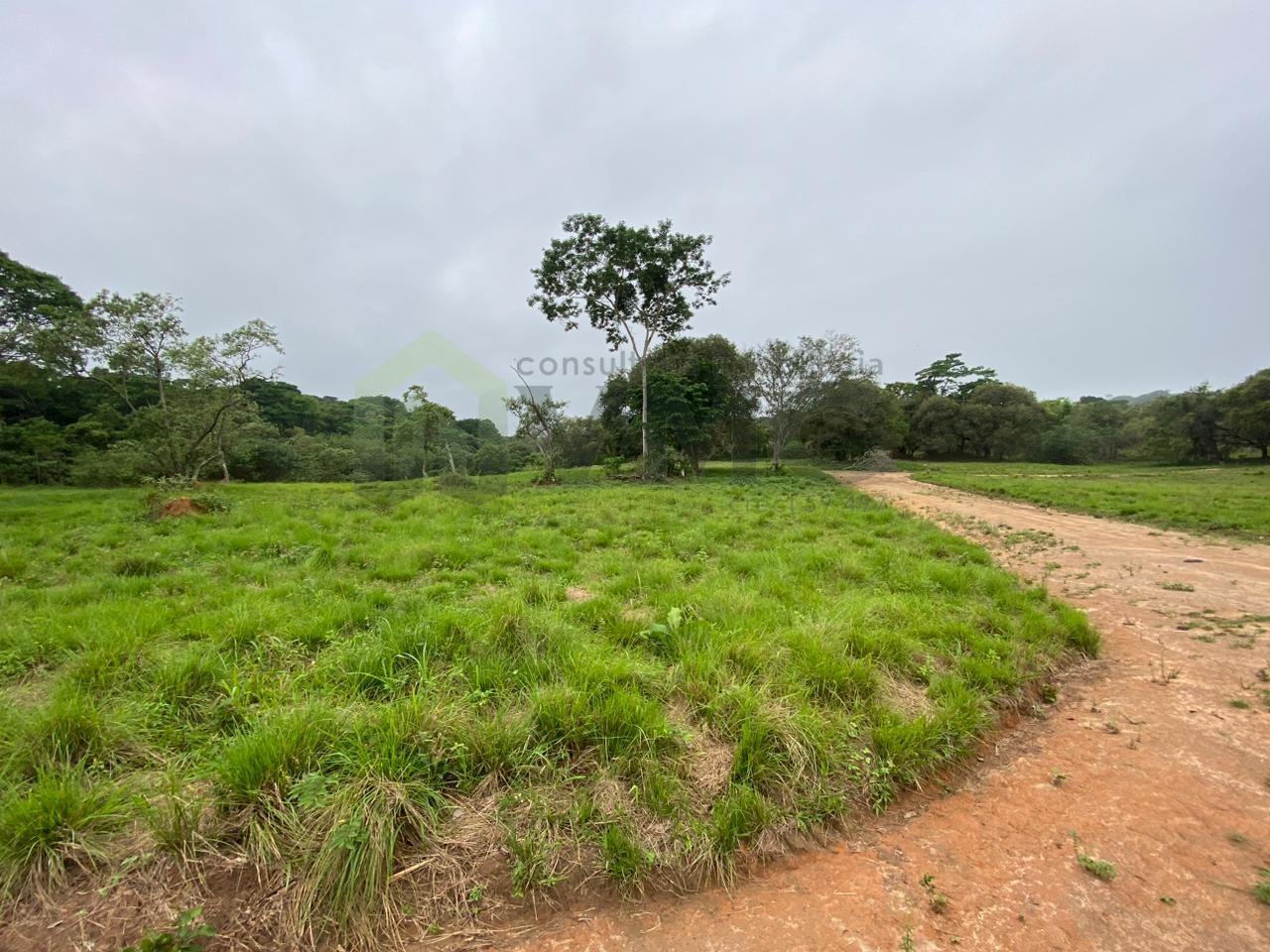 Terreno à venda, 450m² - Foto 5