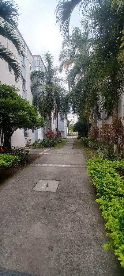 Apartamento, 2 quartos, 55 m² - Foto 50
