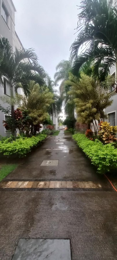 Apartamento, 2 quartos, 55 m² - Foto 52