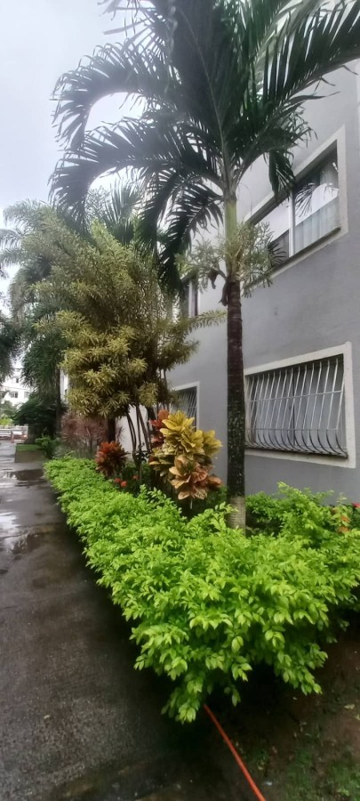 Apartamento, 2 quartos, 55 m² - Foto 51